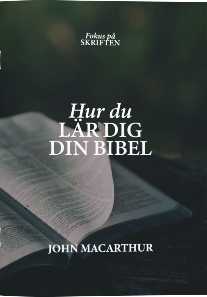 Hur du lär dig din Bibel