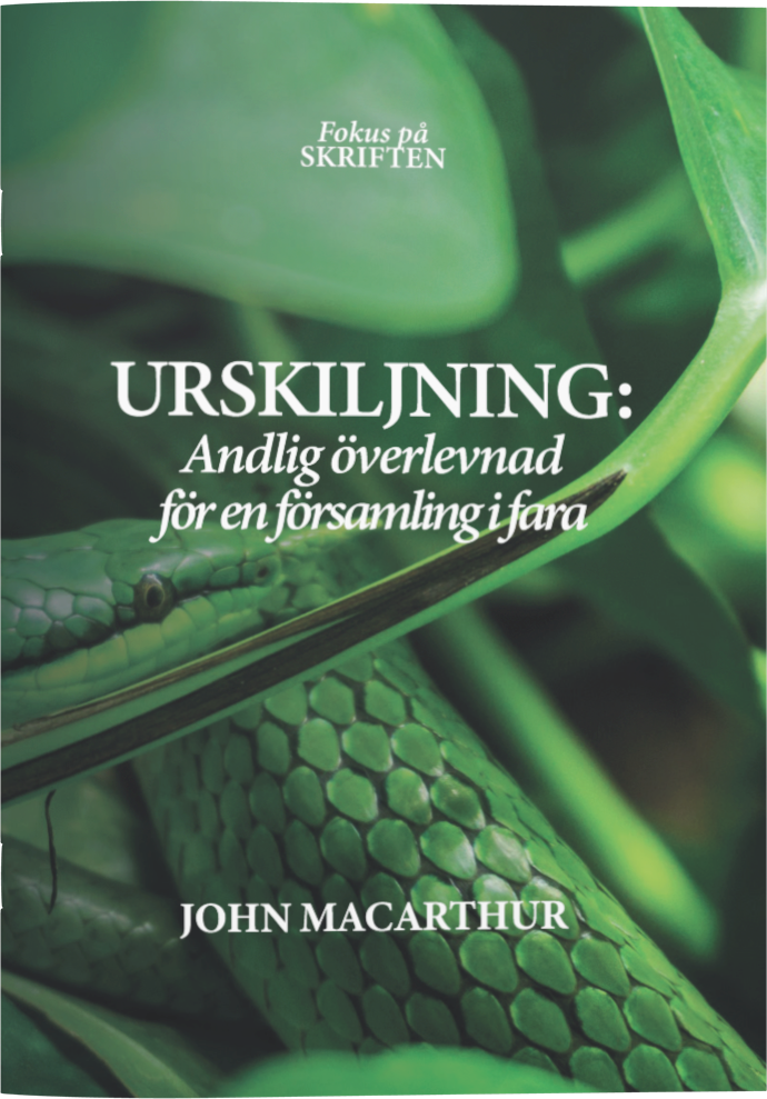 Urskiljning: Andlig överlevnad för en församling i fara