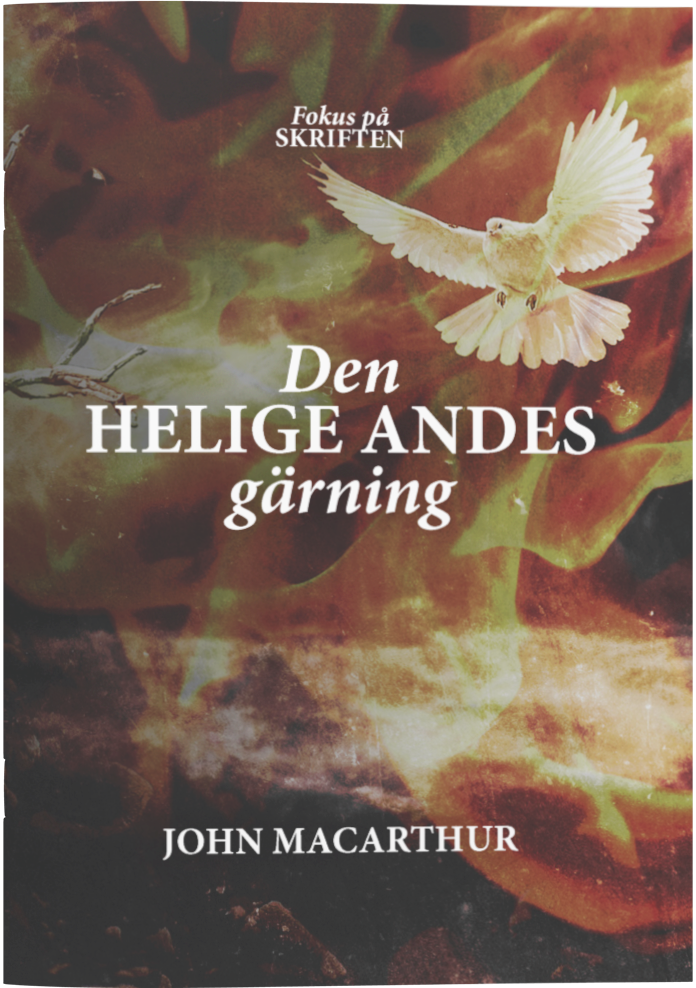 Den helige Andes gärning