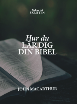 Hur du lär dig din Bibel